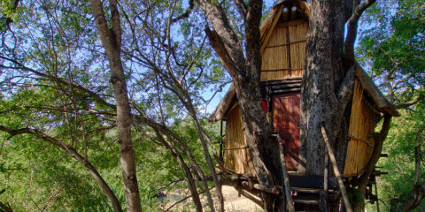 5-Day Tremisana/Treehouse Kruger Park Safari