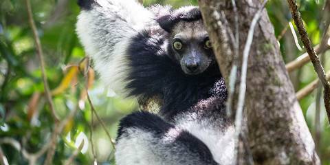 8-Day East-Sweet and Wild Eyed Trip