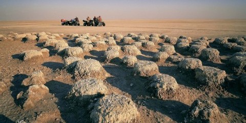 3-Day Meerkat Mania Salt Pan Sleepout & Quad Bike Safari