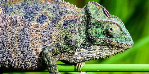 1-Day Toamasina Excursion