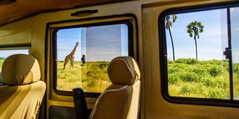 5-Day Midrange Safari plus Kili Excursion from Zanzibar