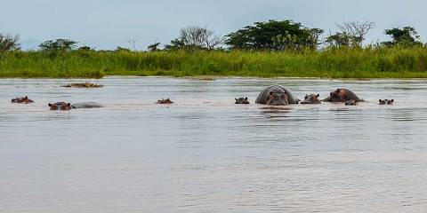 2-Day Birding Tour in Burundi