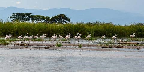 6-Day Visit Burundi