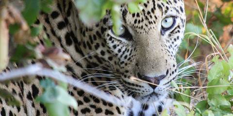 6-Day National Parks and Donkey Hike to Lake Natron