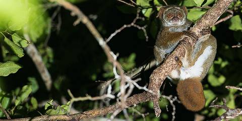 3-Day Milti-Color Trip-(03Days and 02Nights)