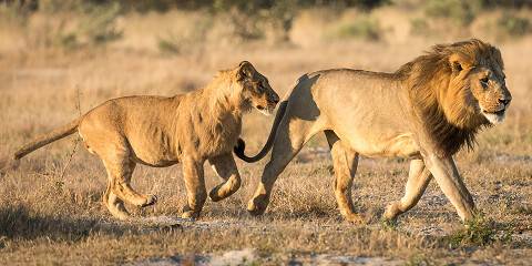 9-Day Botswana Luxury Tour