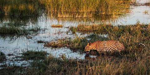 9-Day Chobe, Makgadikgadi, Okavango & Moremi
