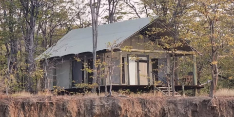 5-Day Fly in Mana Pools Safari