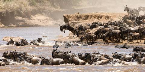 4-Day Amaizing Tarangire NP, Serengeti NP+ Ngorongoro