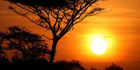 8-Day Mid Range Safari & Zanzibar Beach Extension