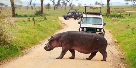 11-Day Standard Safari Expediton, Zanzibar Beach Holiday