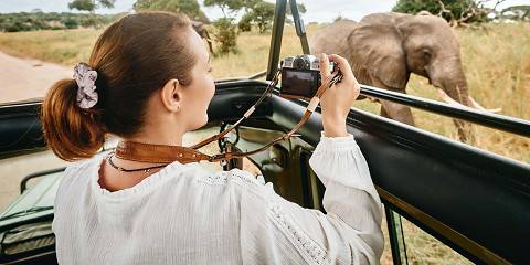 4-Day Journey an Unfrogettable Wildlife Adventure