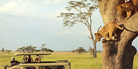 7-Day Northern Circuit Safari & Waterfall Hike Adventure