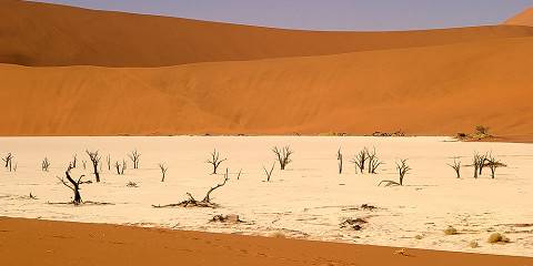 7-Day Unique Luxury Fly-in Safari