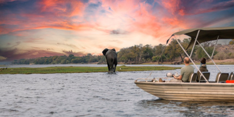 12-Day Botswana & Zimbabwe Couple's Getaway