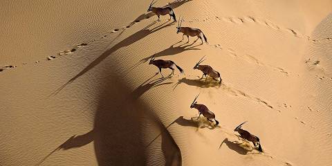 13-Day Highlights of Namibia Small Group Tour