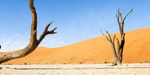 5-Day Mid-Range Scenic Tour of Namibia