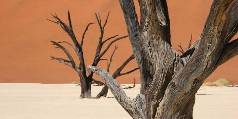 9-Day Wonders of Namibia Self-Drive Safari Tour