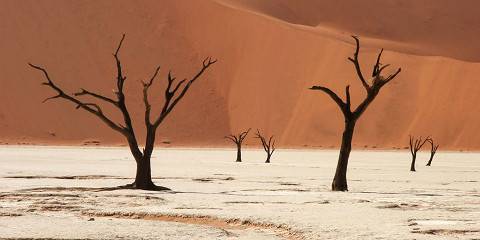 5-Day Best of Sossusvlei & Swakopmund from Windhoek
