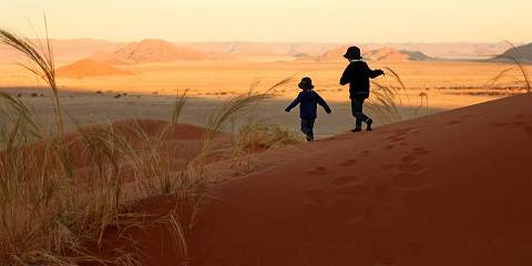 7-Day Namibia Sand to Sea Fly-in Safari