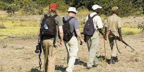 8-Day Zambia Safari Package