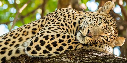 4-Day Mid-Range Lodge Group Tour