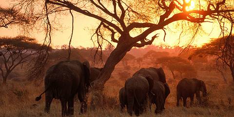 6-Day Luxury Wildebeest Migration Mara River Crossing