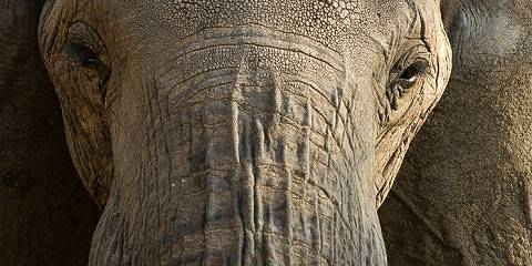 4-Day Fly in Zanzibar to Northern Circuit Classic Safari