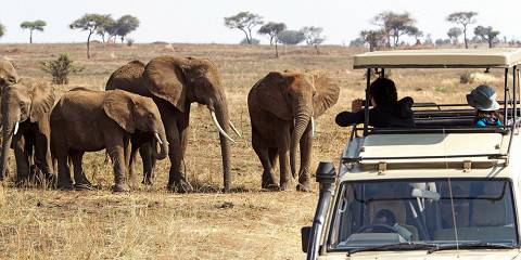 3-Day Dar Es Salaam to Serengeti, Ngorongoro & Tarangire