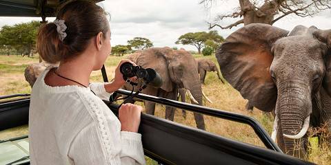 3-Day The Best National Parks in the World - Serengeti