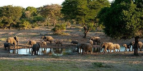 5-Day Essential Kruger Safari - Fully Inclusive