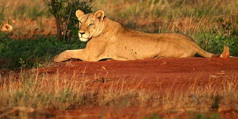 10-Day Bush Adventure with Coastal Relaxation