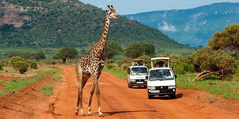 5-Day Exploring Amboseli NP- Tsavo West-Tsavo East Parks