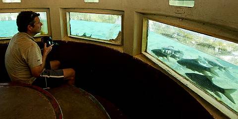 3-Day Tsavo West National Park Safari from Nairobi