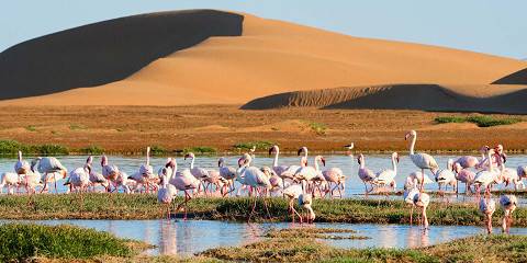 7-Day Swakopmund, Cape Cross, Damaraland Tour (Lodging)