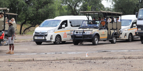 3-Day Pilanesberg Tlou Tented Safari