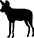 Wild Dog